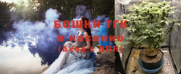 тгк Армянск